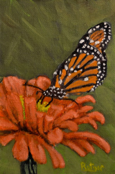 1-L-24 Flutter 4x6