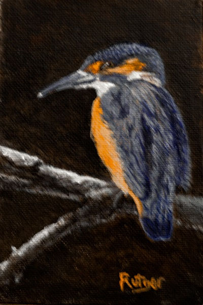 3-C-25 Kingfisher 4x6