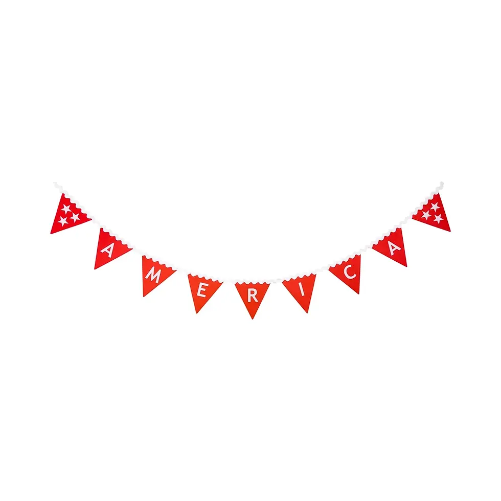 Thumbnail: America Felt Pennant Banner