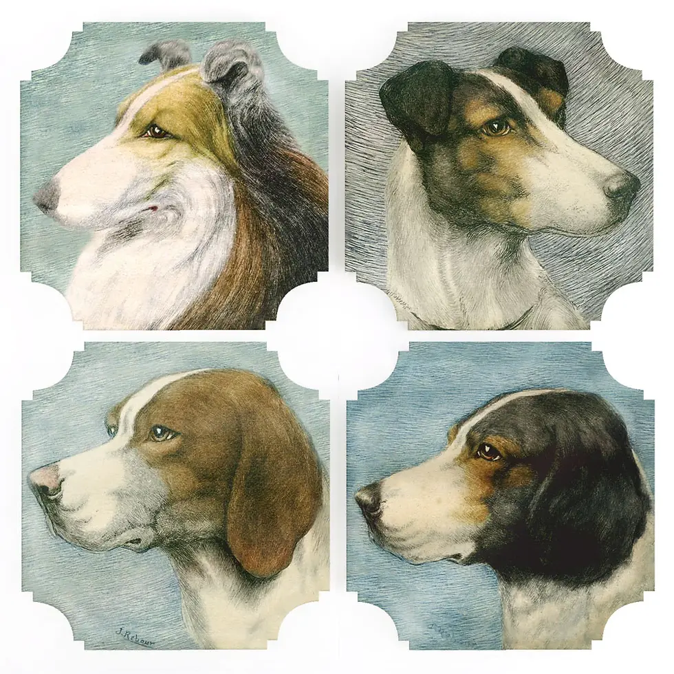 Reprotique Coasters | Dogs (Set of Four)