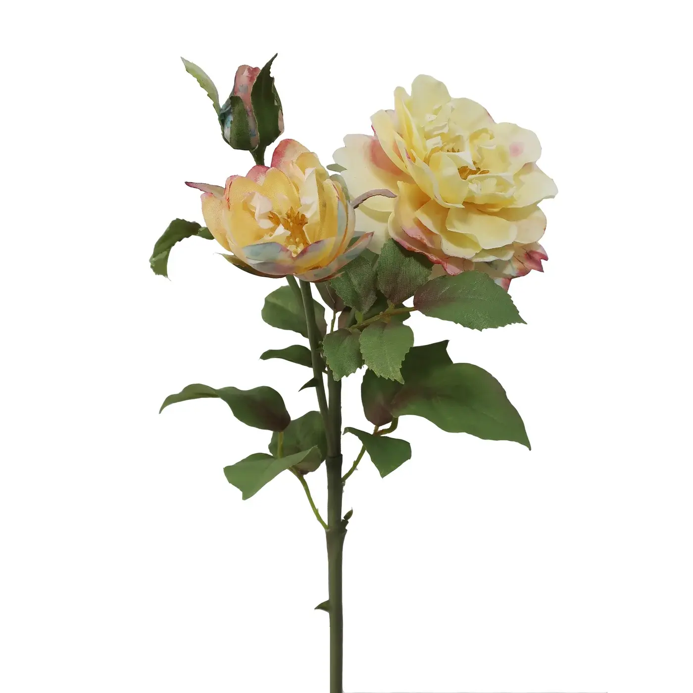 Yellow Rose Water Color 19.5"