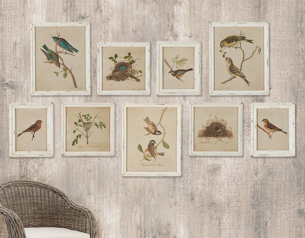 Thumbnail: Framed Aviary Bird & Nest Habitat Print