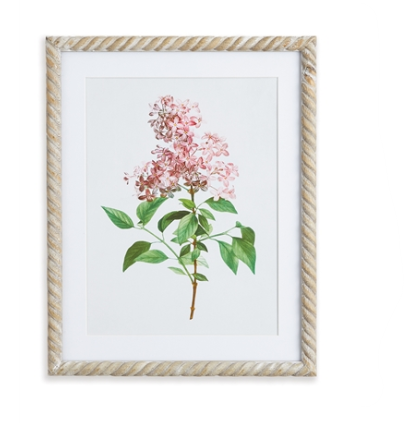 Lilac Cutting Print Sold Separate