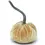 Thumbnail: Creamed Corn Silk Velvet Pumpkin