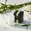Thumbnail: Bamboo Votive 2oz Candle