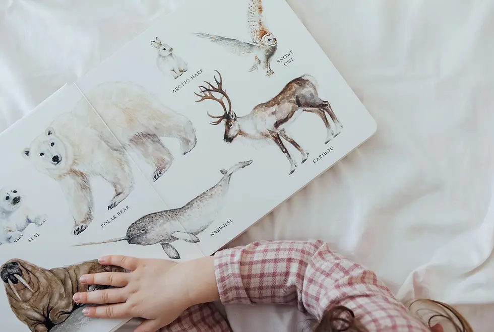 Thumbnail: Our Big Book of Animals