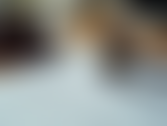 Serviços jurídicos auxiliares em unidades da SAP