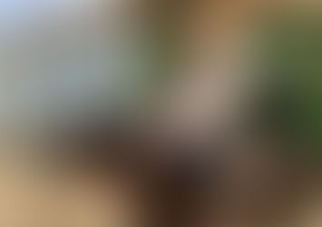 KUBA: Cesta do minulosti s vůní doutníků