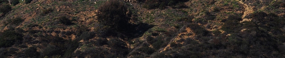 Hollywood sign ground only.jpg