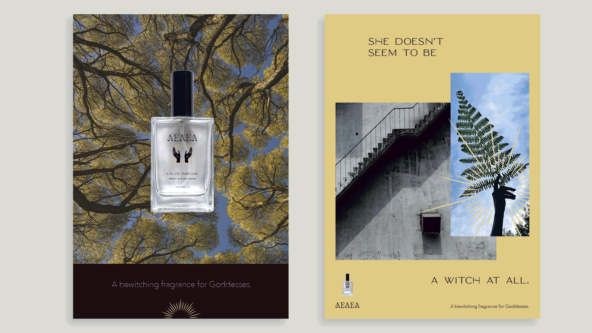 AEAEA-POSTERS-GIF.gif