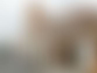 Igreja de São Francisco de Assis