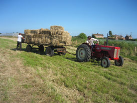making hay.jpg