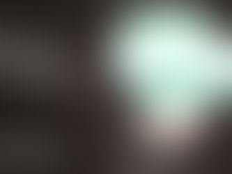 The Downside of Single-Minded Commitment