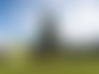 Mandai Wildlife Reserve • Festive Wild-erland (Rainforest Wild Asia)