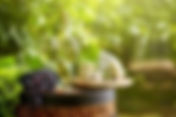 Margaret River On Tour