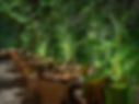 FYSH at EDITION - Conservatory.jpg