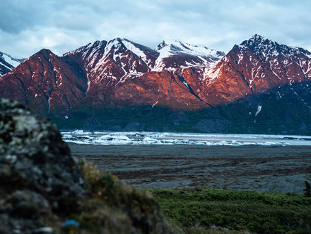 Grizzly Bear Hunting in Alaska