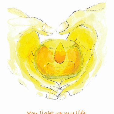 You Light up My Life