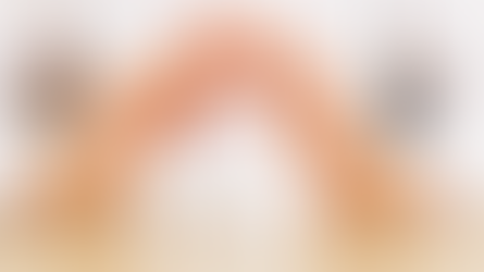 New Family Law in Florida