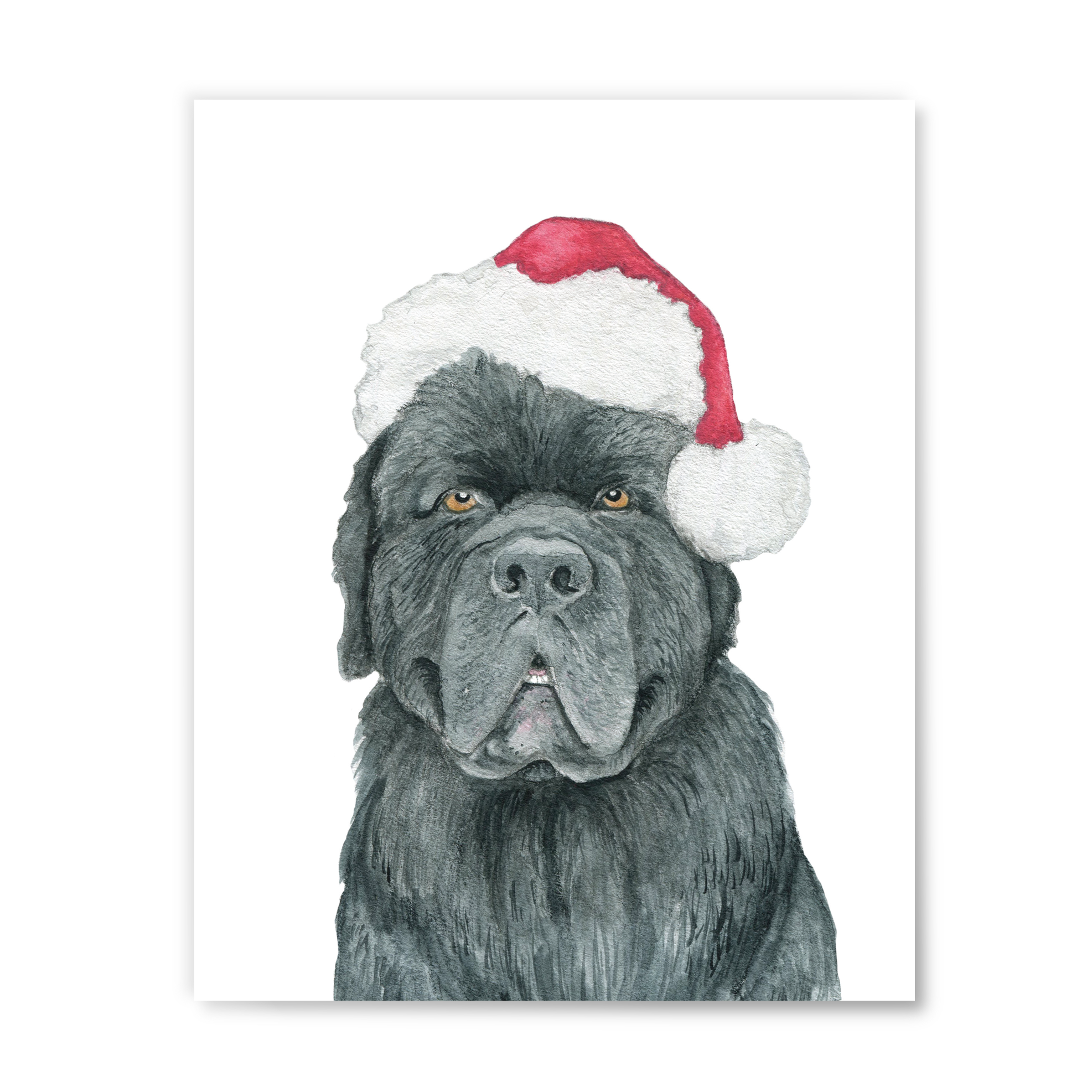 Newfoundland Santa Paws Print