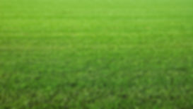 thunder-bay-lawn-care-services.jpg
