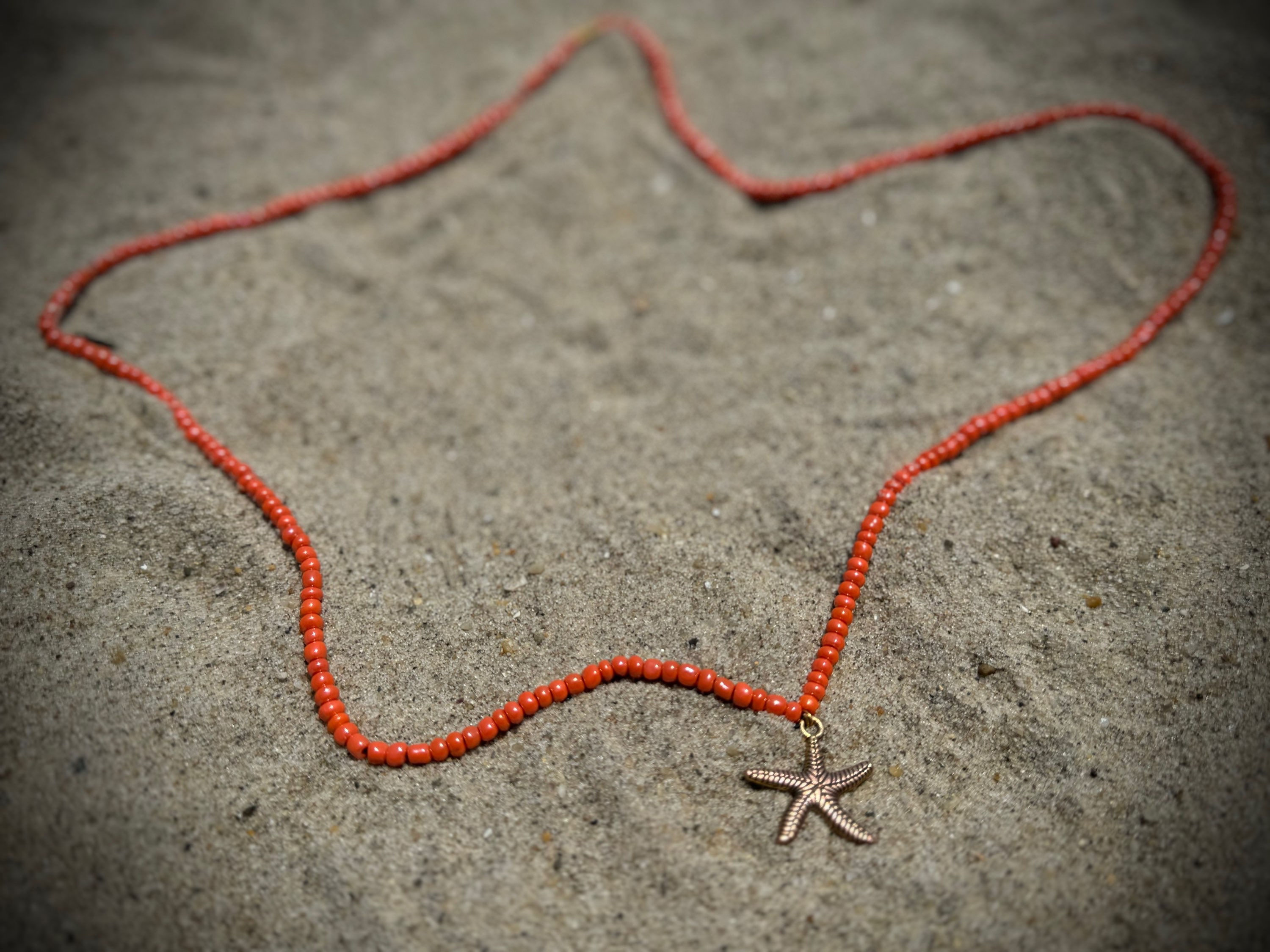 Starfish ⭐️
