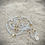 Thumbnail: All White Cowrie