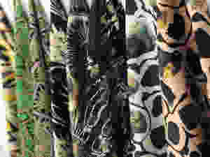 Anna Hayman Fabric Collection