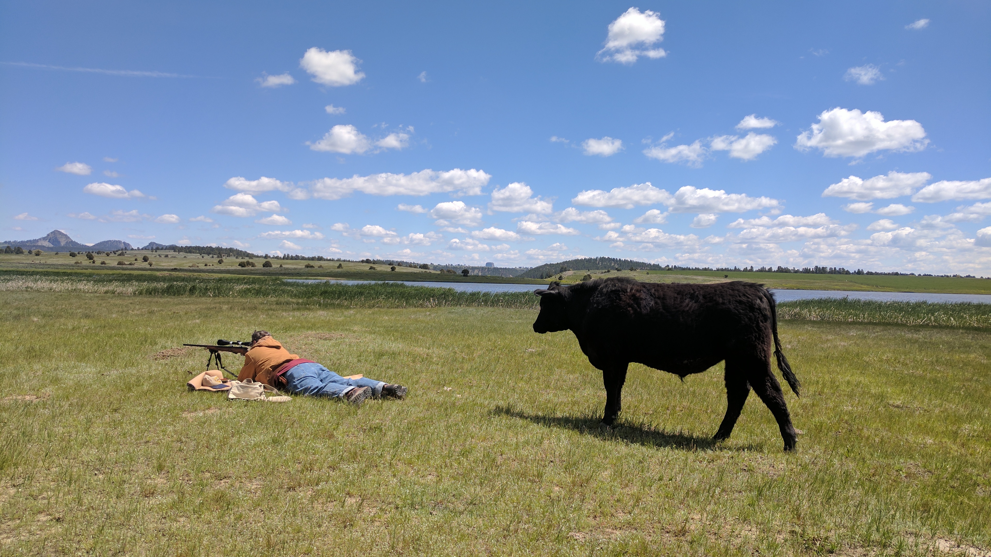 Prairie Dog Hunting skylineoutfitters