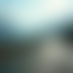 Aventures à moto : Explorez des paysages inoubliables