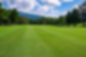 ecotea-for-fairways.png