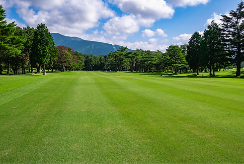 ecotea-for-fairways.png