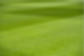 ecotea-for-turf.png