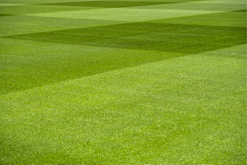 ecotea-for-turf.png