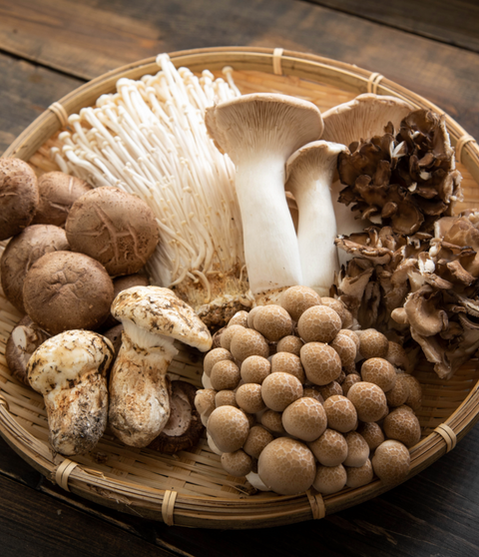 Fresh (1 lb, 5 lb, 10 lb mix), Blue Oyster, Pink Oyster, Golden Oyster, Princess Peal Oyster, Wine Caps, Porcini, Lions Mane, King Oyster, Black Pearl King, Miatake