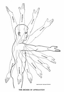 Delsarte degrees of Affirmation