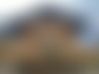 Sablage complet d'un Chalet