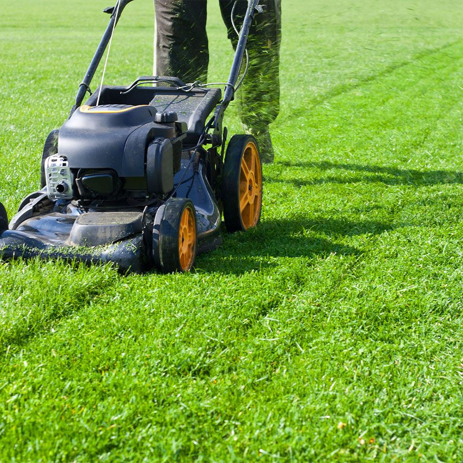 lawn 1.jpg