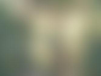 Grounding into Gratitude