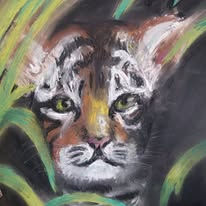 Stages d'été enfant et ados, 2026