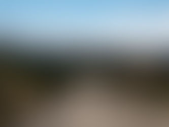 Tuatara 2022 Tracking