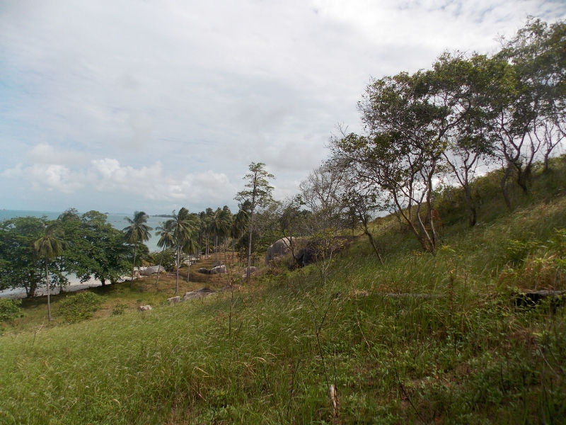 DSCN5066 (800x600).jpg