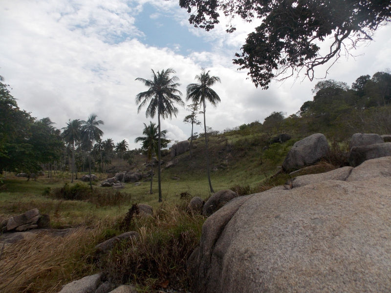 DSCN5073 (800x600).jpg