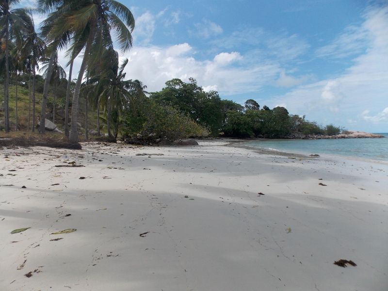 DSCN5093 (800x600).jpg