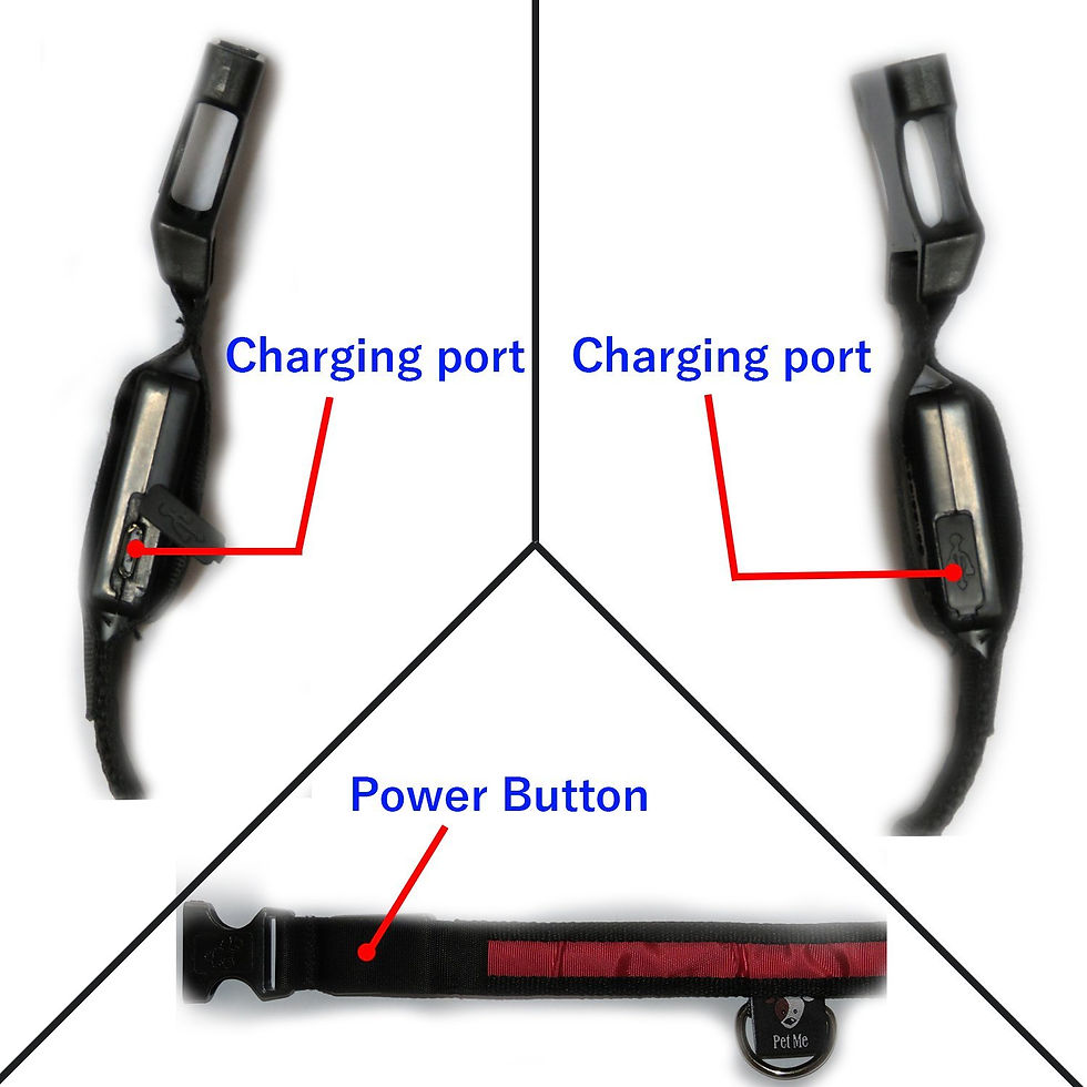 Miniatura: Collar LED Recargable