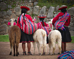 Girls and Llamas in Cusco, Peru
