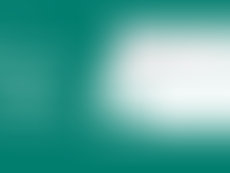 海外数字营销必备的谷歌插件:助力您拓展新西兰市场