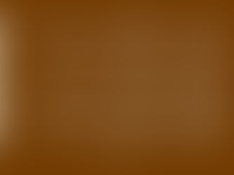 市场营销的4P:如何在新西兰成功运用它们