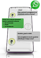 Screenshot 2025-09-11 alle 3.21.06 PM.png