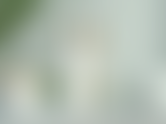 Top Anti-Wrinkle Treatments: What You Need to Know